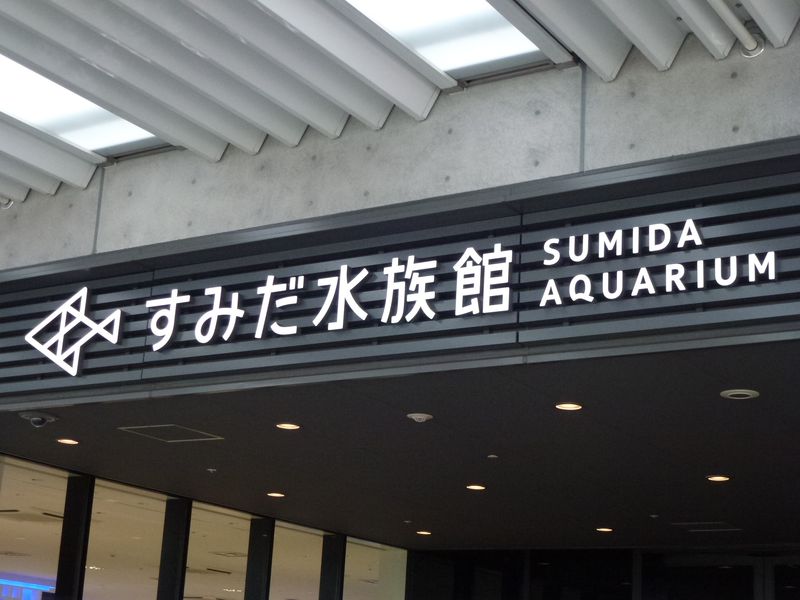 Aqua_000.JPG
