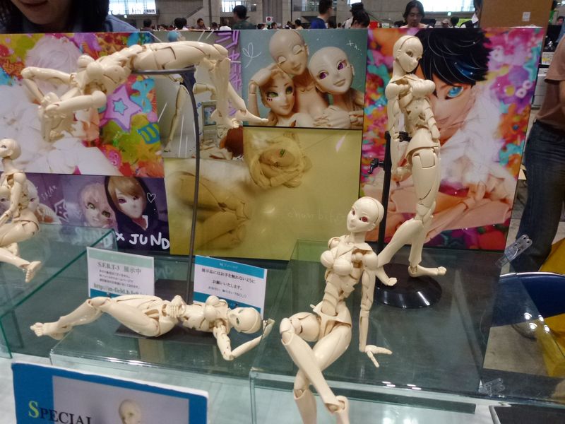 WF2013S_025.JPG