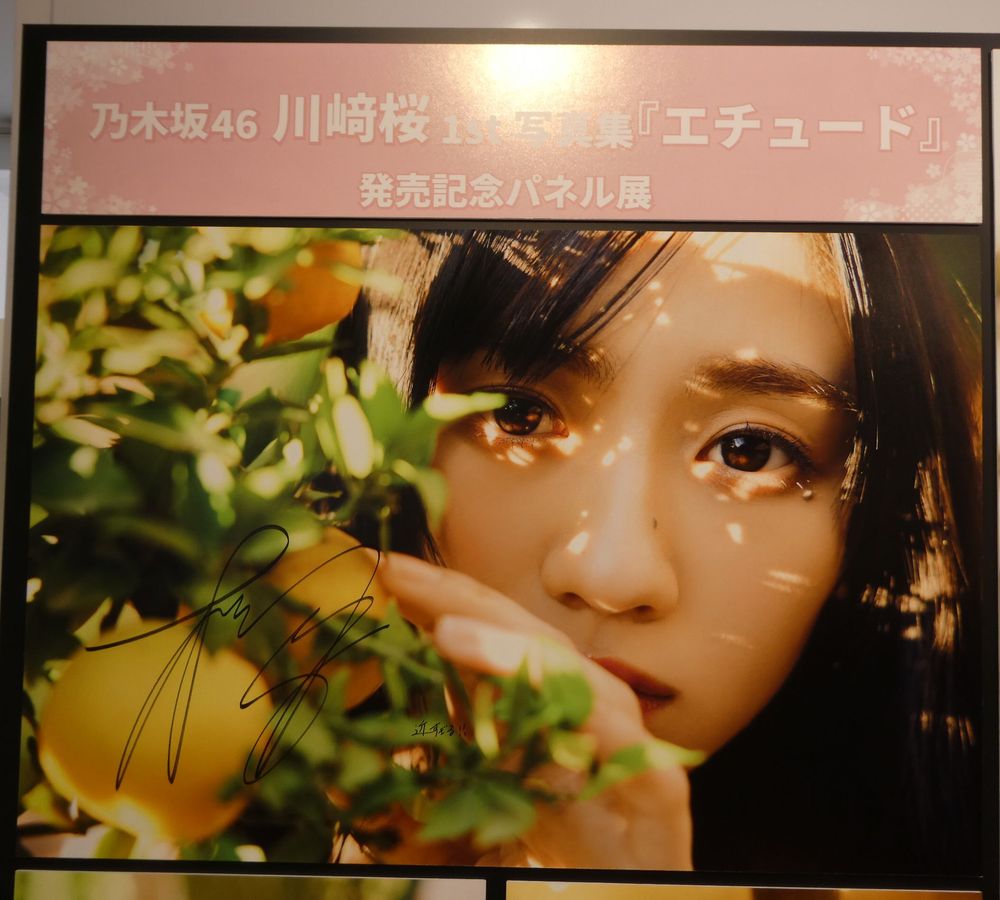 川崎桜 1st写真集パネル展 大阪・京都