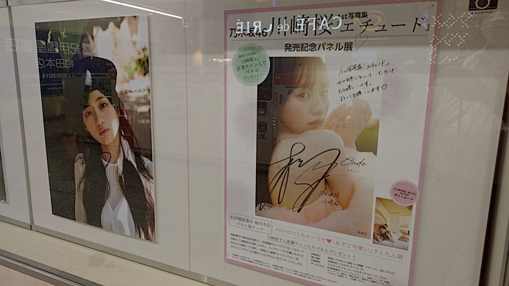 川崎桜 1st写真集パネル展 大阪・京都