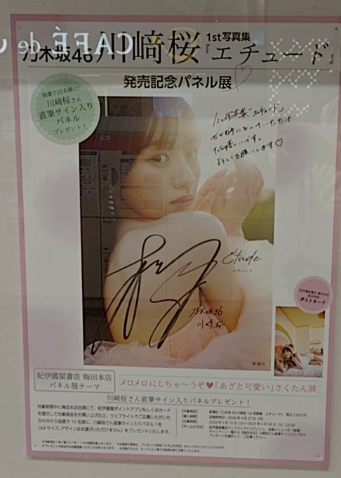 川崎桜 1st写真集パネル展 大阪・京都
